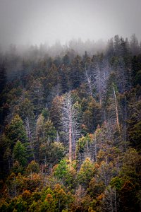 20190910-FS-PJK-01298 TONED