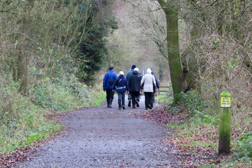 A Walk in the Rain