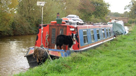 Canal Canine photo