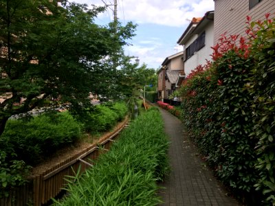 Koyama in Higashikurume-shi