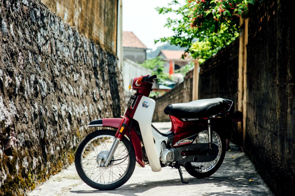 DSC 4246