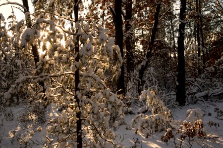 Black Winter Day - tribute to Pete Huu