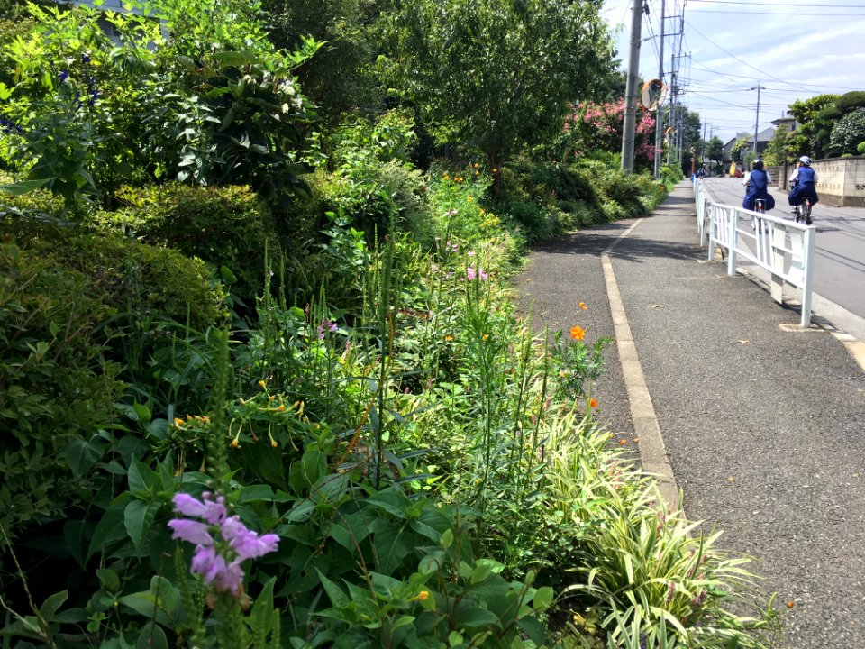 Uenohara in Higashikurume-shi