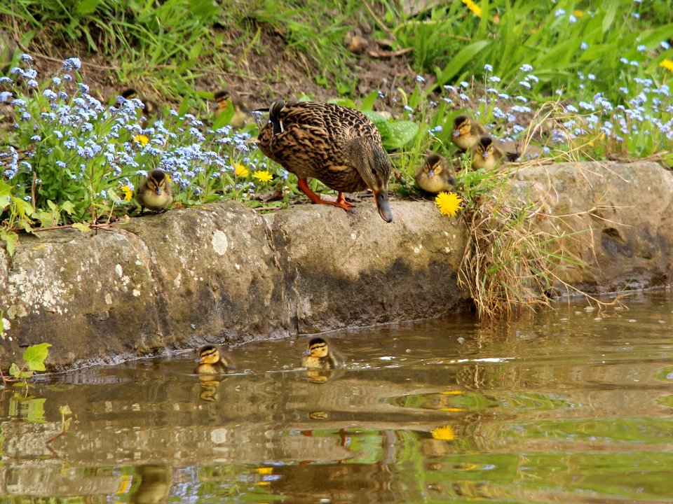 "The water looks inviting" photo