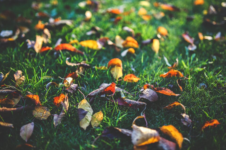 Red yellow orange