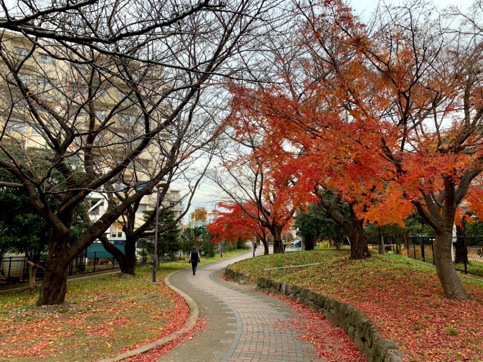 Akabanedai in Kita-ku