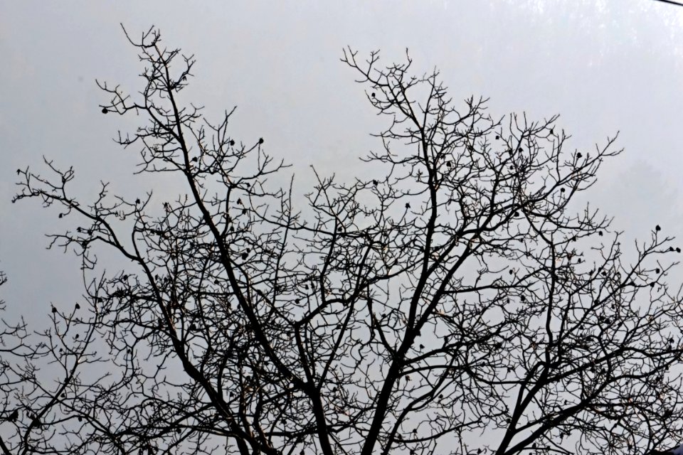 DSC 0160