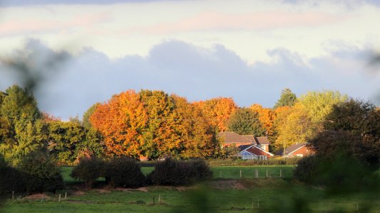 Autumn in Cheshire photo