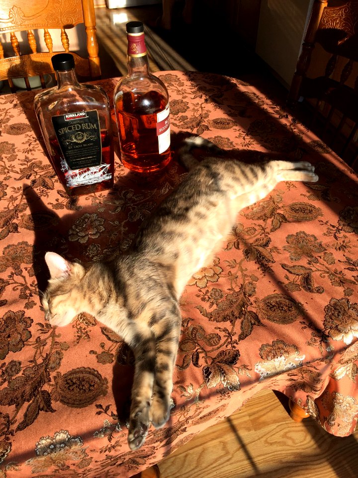 Life is good!