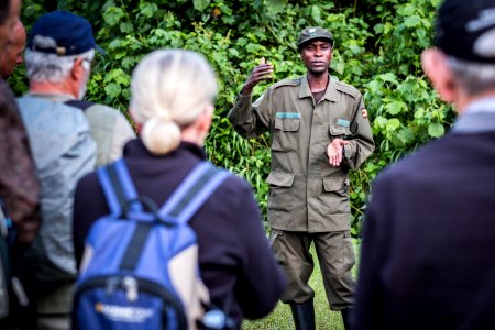 USAID Measuring Impact Conservation Enterprise Retrospective (Uganda; International Gorilla Conservation Program) photo