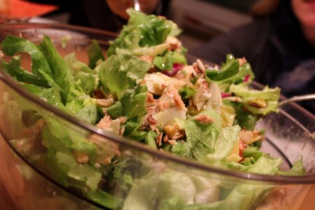 Salad eat food photo
