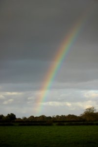 Rainbow 1 photo