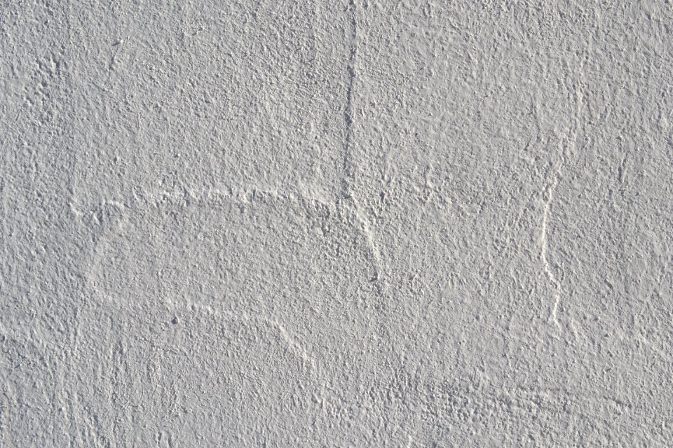 wall