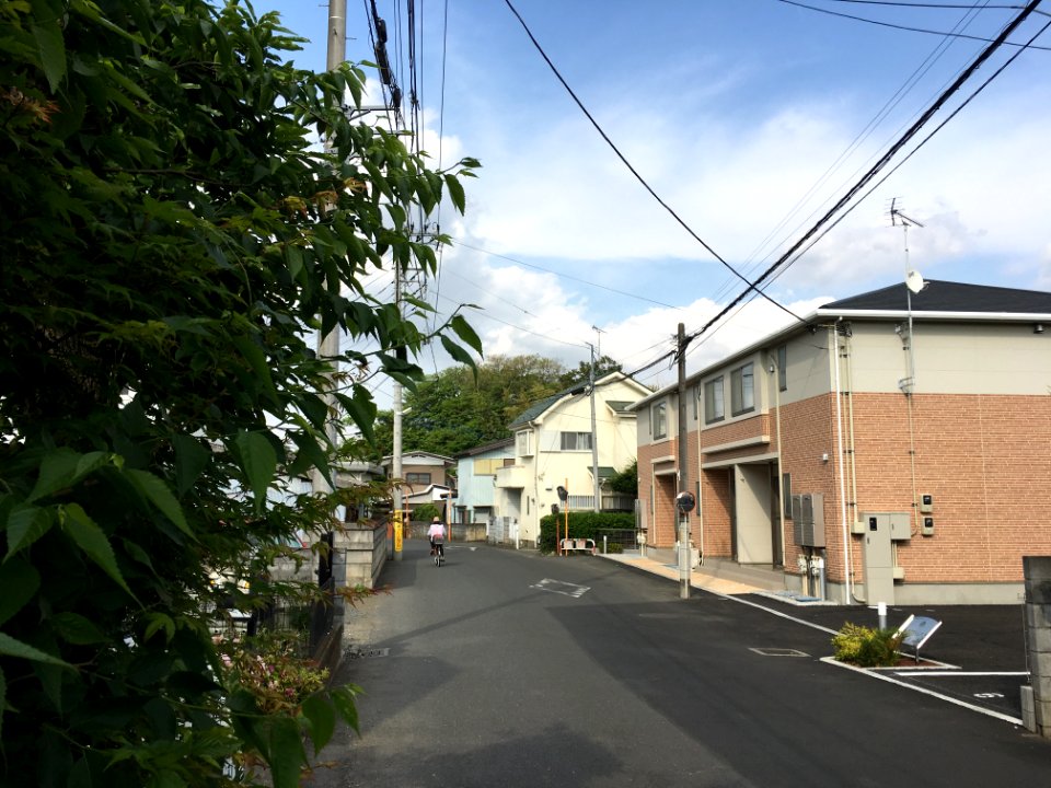 Akitsucho in Higashimurayama-shi 2