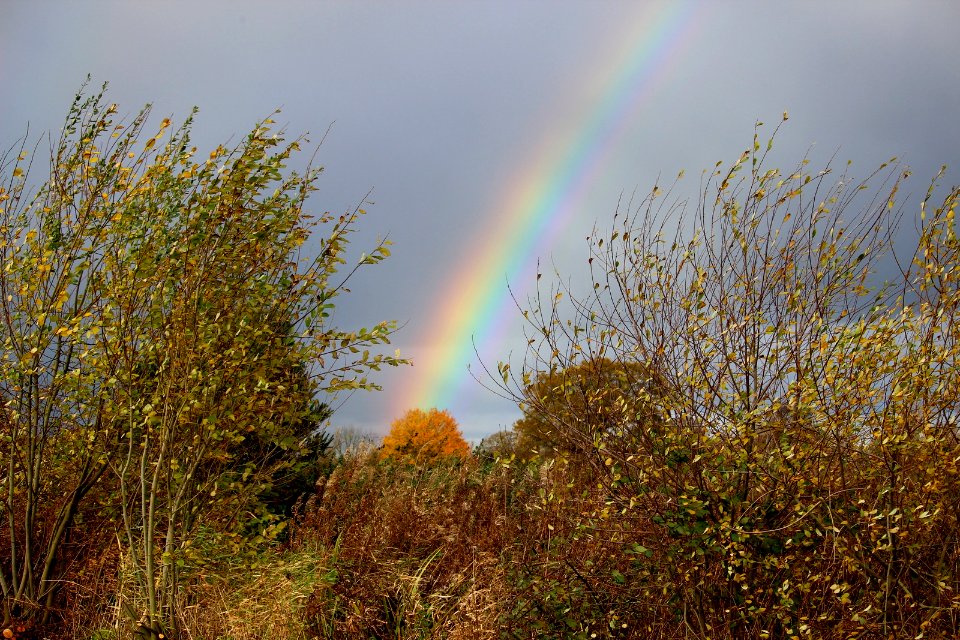 Rainbow over Sandbach
