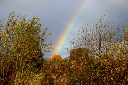 Rainbow over Sandbach