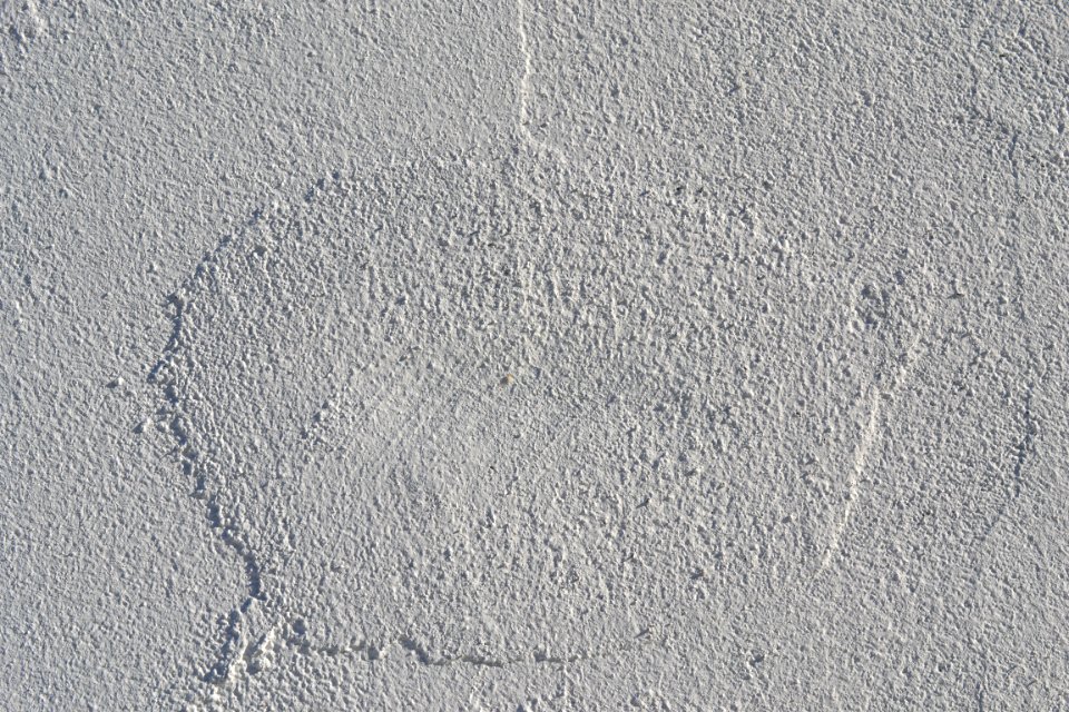 wall