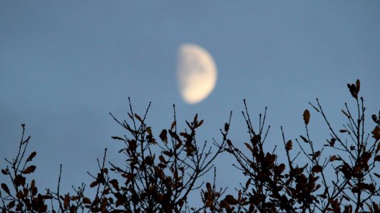 Bokeh Moon