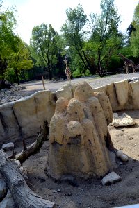 zoological garden