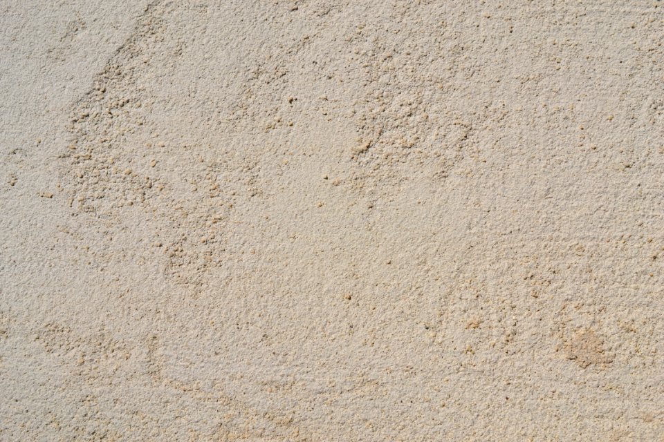 wall