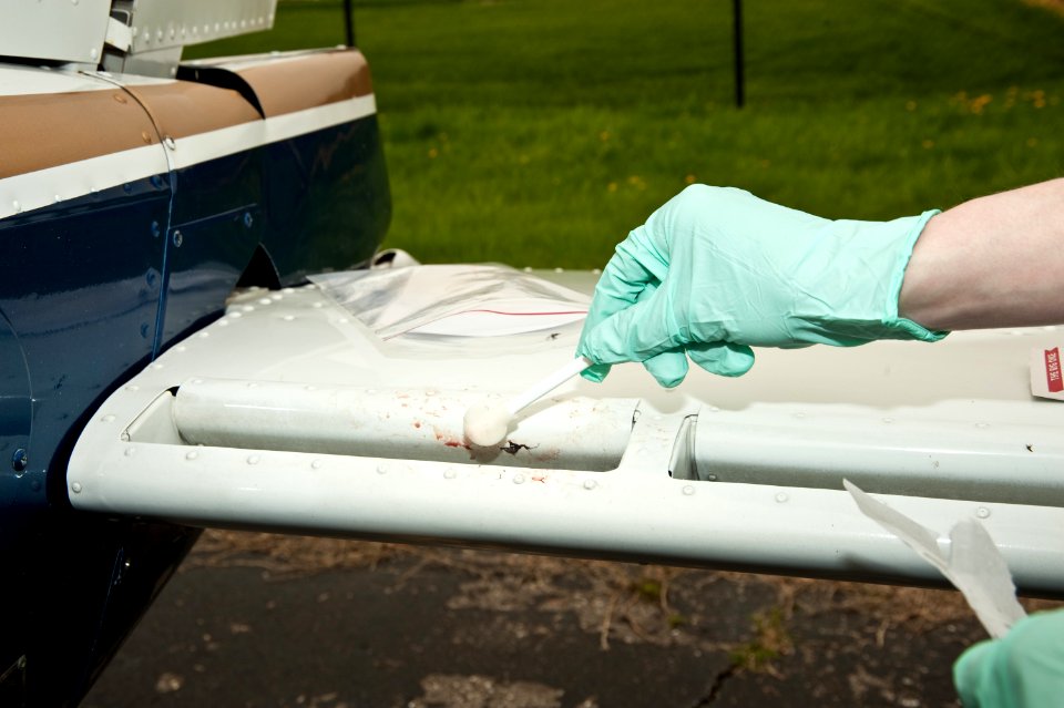 collecting snarge from bird strike 2 USDA