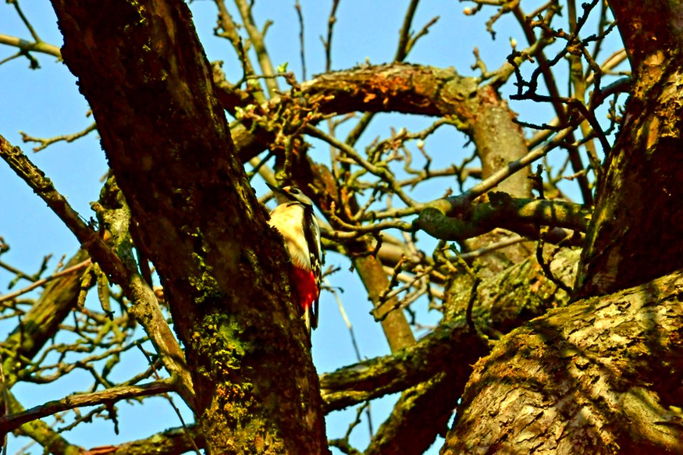 Spring 2014