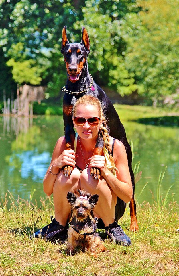 Pets dogs love