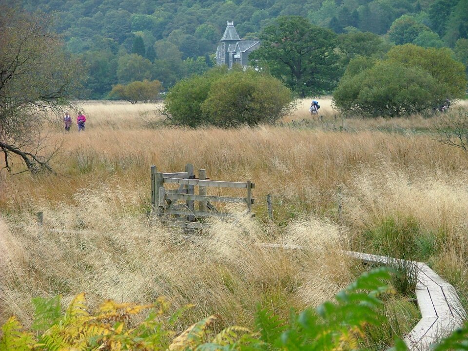 Alone lake district walkers