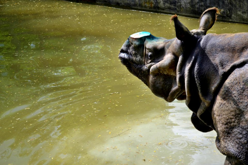 zoological garden