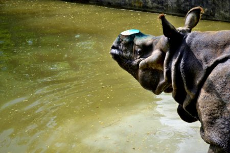 zoological garden