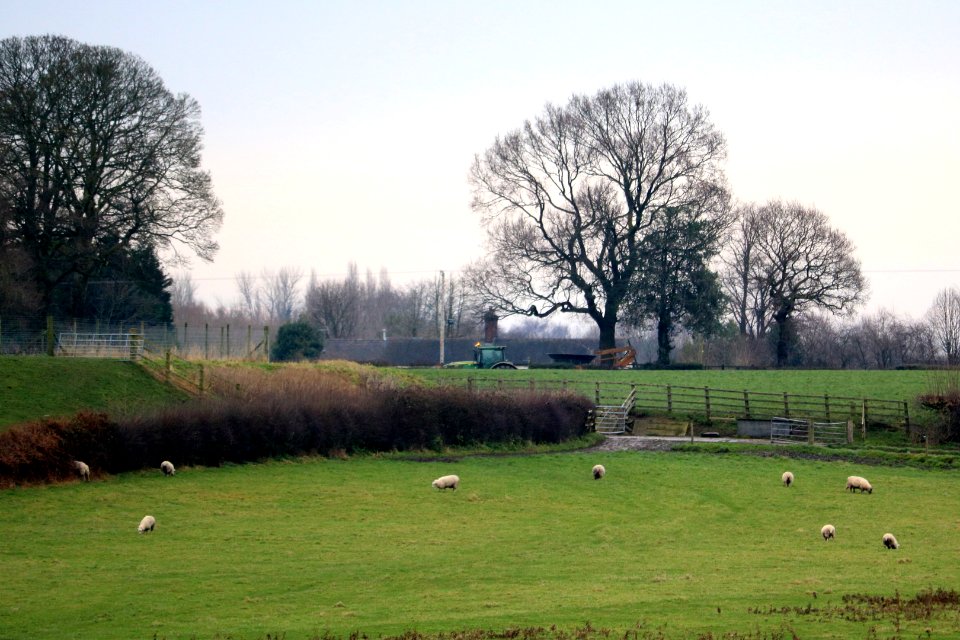 Cheshire Agriculture