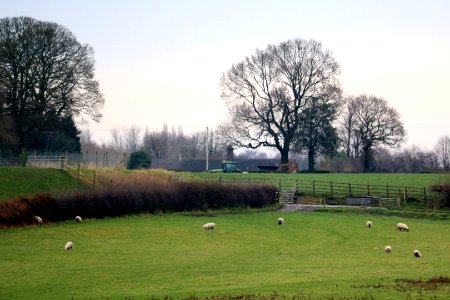 Cheshire Agriculture photo