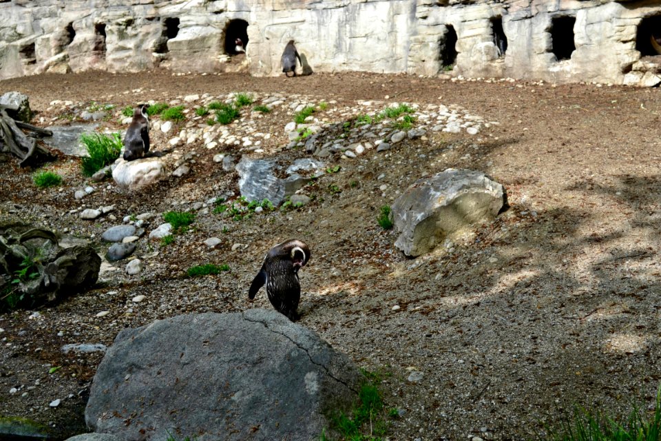 zoological garden