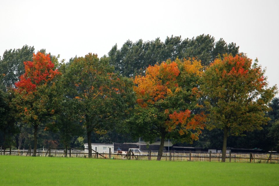 A Closer Hint of Autumn