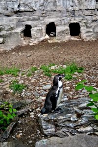 zoological garden