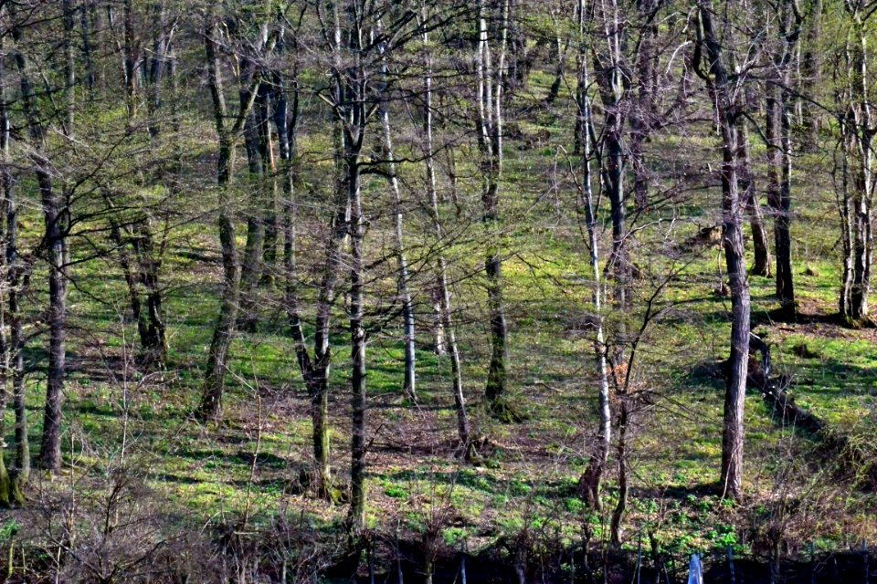 Spring 2014