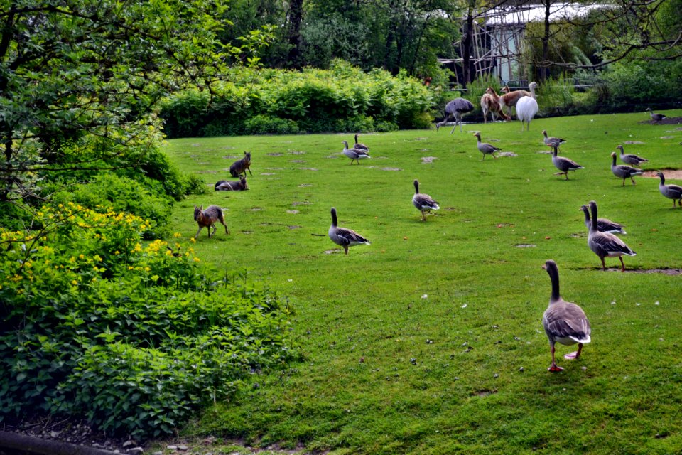 zoological garden