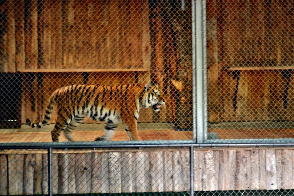 zoological garden