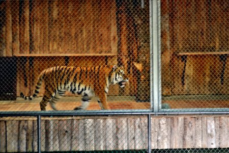 zoological garden