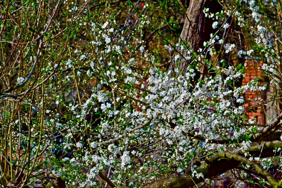 Spring 2014