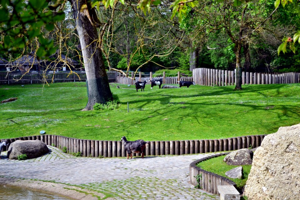 zoological garden