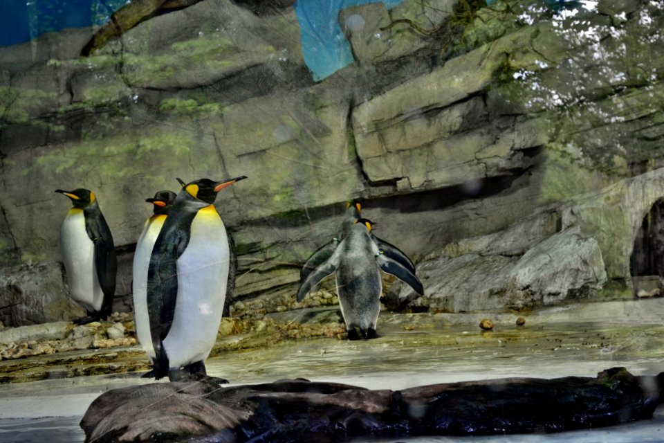 zoological garden