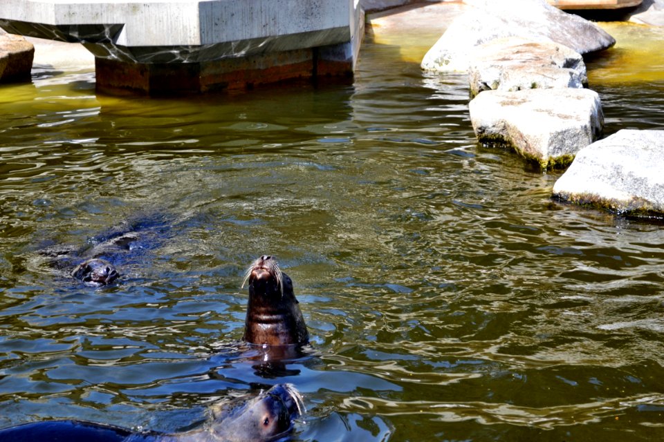 zoological garden
