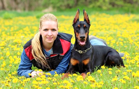 Doberman pinscher woman pets photo