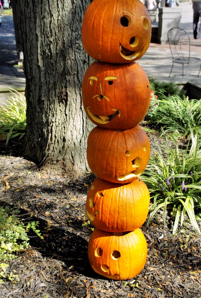 Halloween pumpkins witch