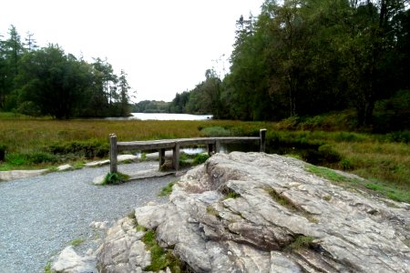 Tarn Hows 05 photo