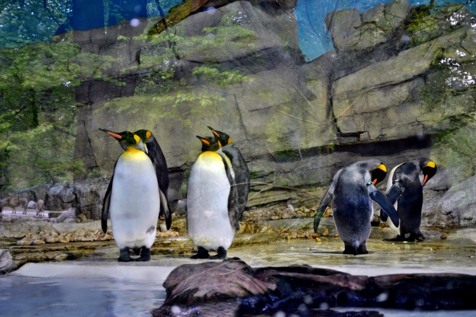 zoological garden