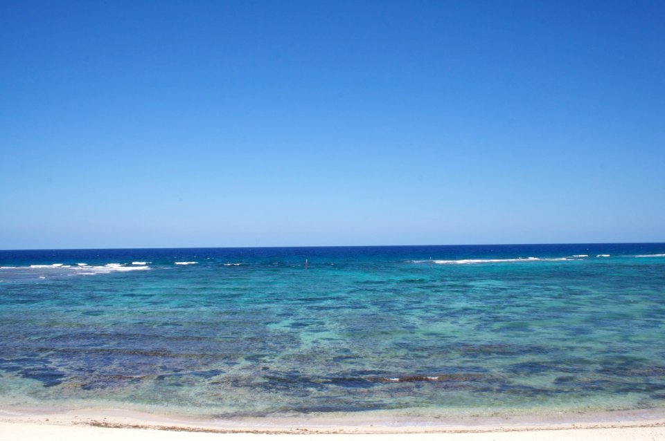 reef landscape