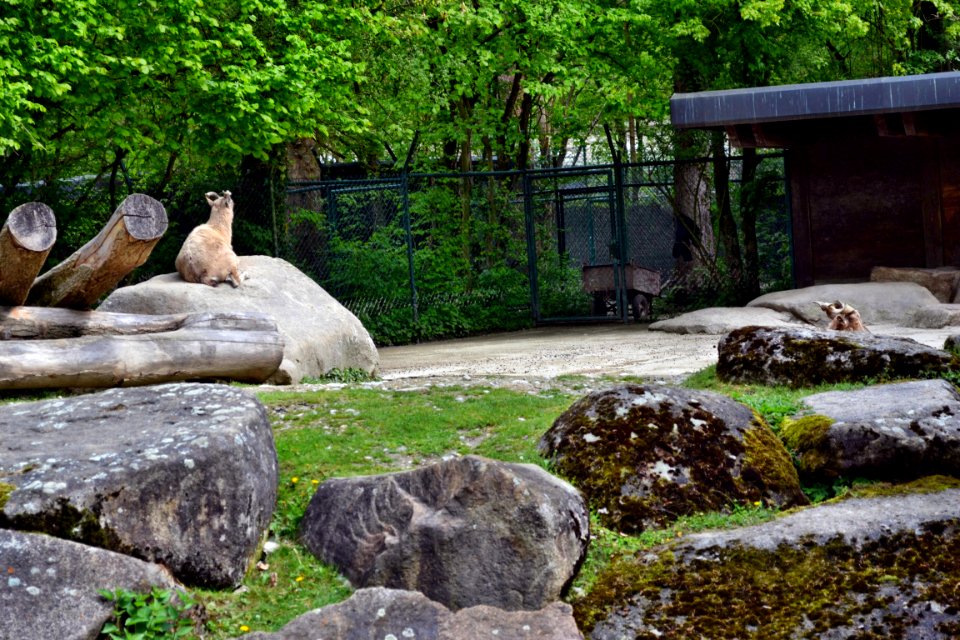 zoological garden