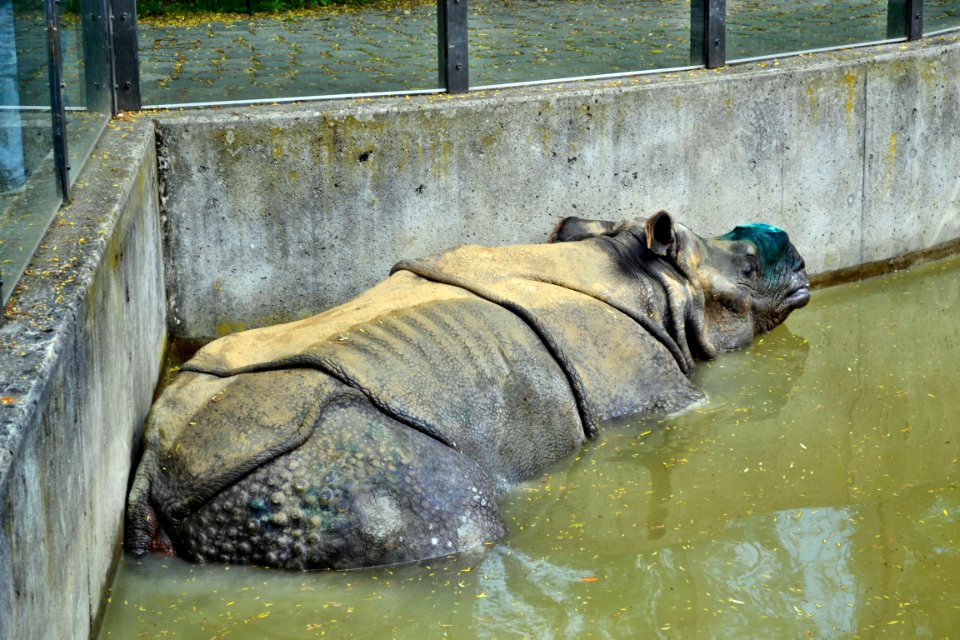 zoological garden